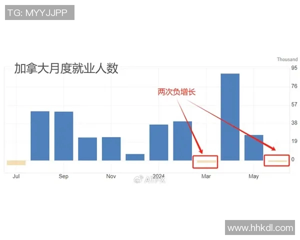 新西兰与澳大利亚对决前瞻分析及比赛结果预测