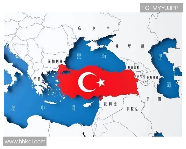 法国与土耳其最新动态分析及两国关系发展趋势探讨